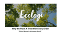 Why Sustainable Activewear Brands Should Plant Trees - Sleepy Sloth Ltd